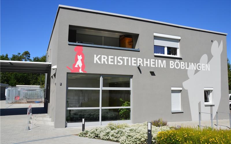 Das als gefährlich eingestufte Tier wurde beschlagnahmt und ist seither im Tierheim untergebracht. GB-Foto: Mösl