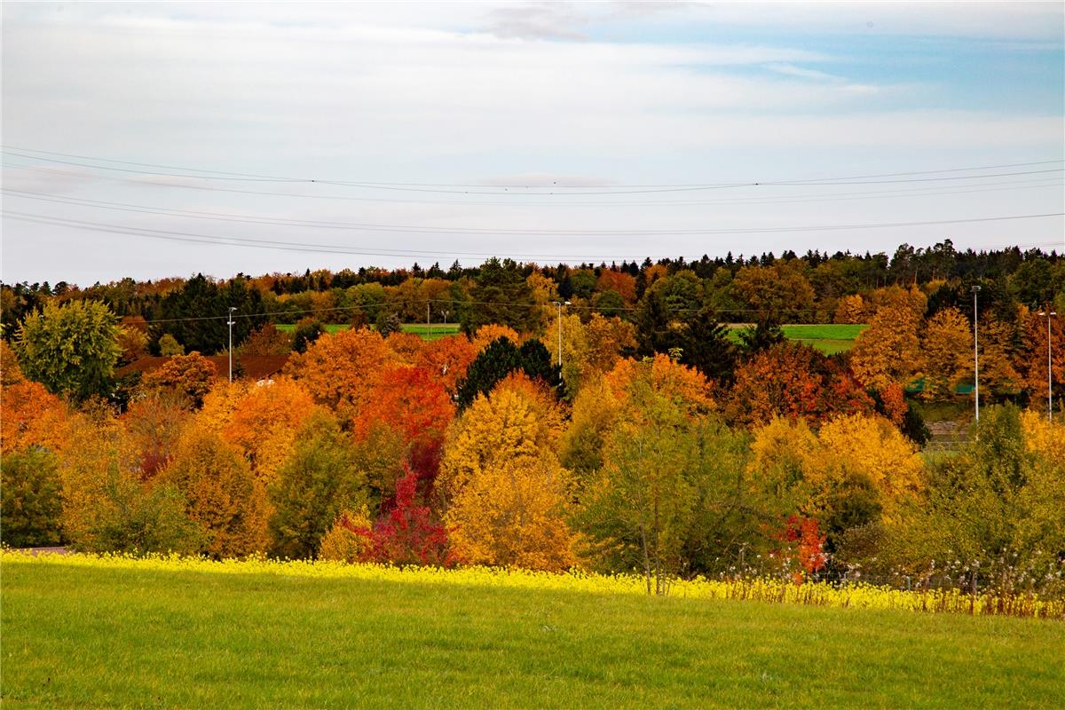 Das ist "Indian Summer" in Mötzingen, sagt der Öschelbronner Gottfried Schäberle...