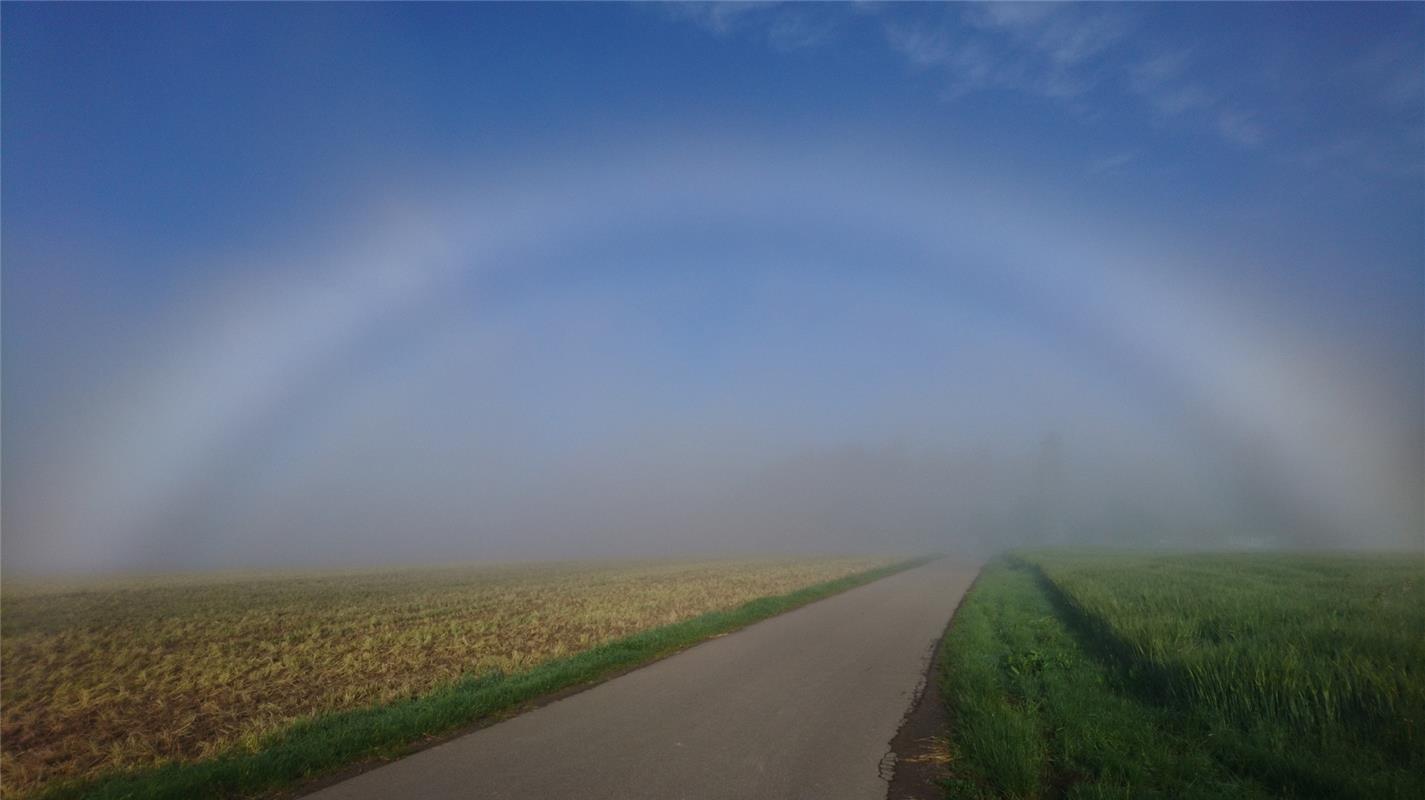 "Das seltene Naturschauspiel eines weißen Nebelbogens gab es heute Morgen am Obe...