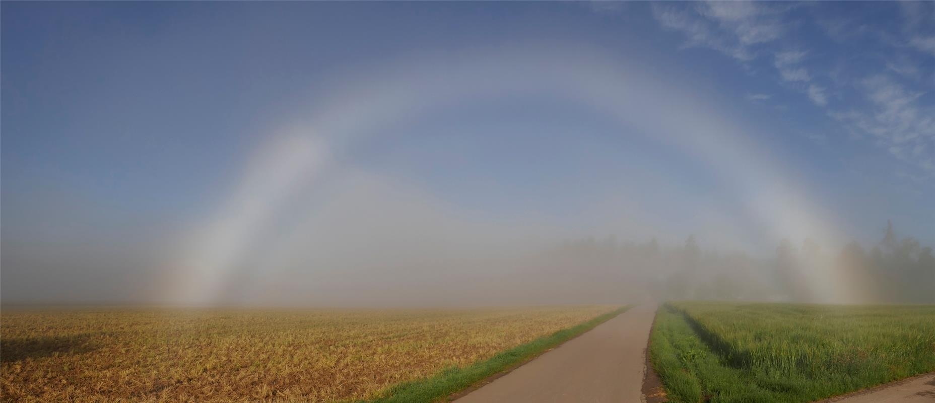 "Das seltene Naturschauspiel eines weißen Nebelbogens gab es heute Morgen am Obe...