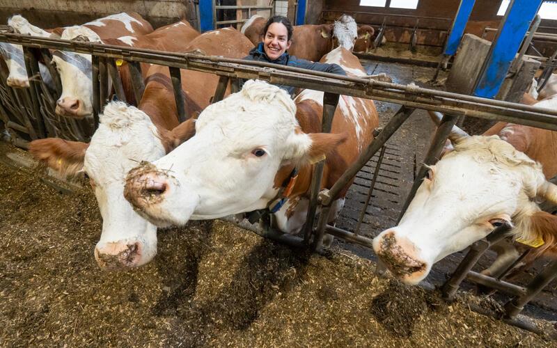 Deborah Haag bei ihren Tieren im Stall. Sie führt den elterlichen Betrieb in Jettingen weiter.GB-Foto: Vecsey