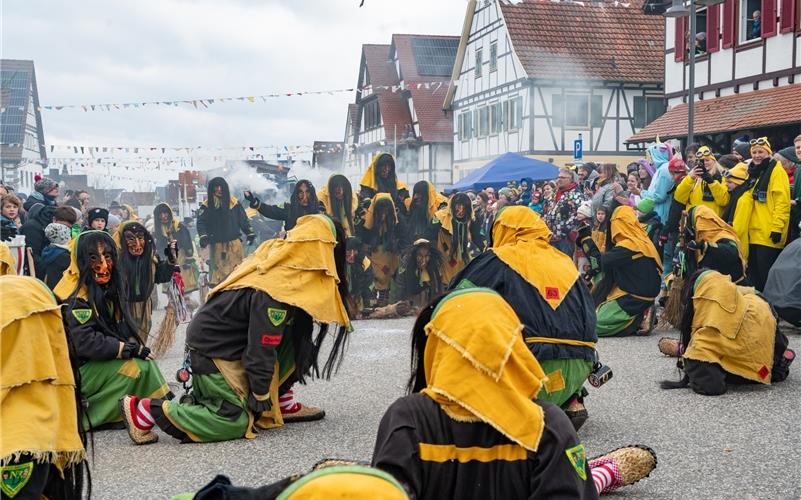 Narrenmekka Deckenpfronn: Bilder vom Fasnetsumzug