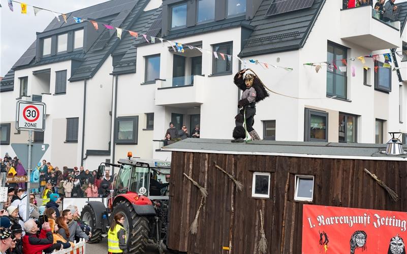 Narrenmekka Deckenpfronn: Bilder vom Fasnetsumzug