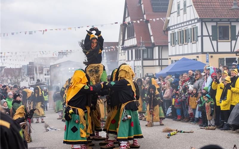 Narrenmekka Deckenpfronn: Bilder vom Fasnetsumzug
