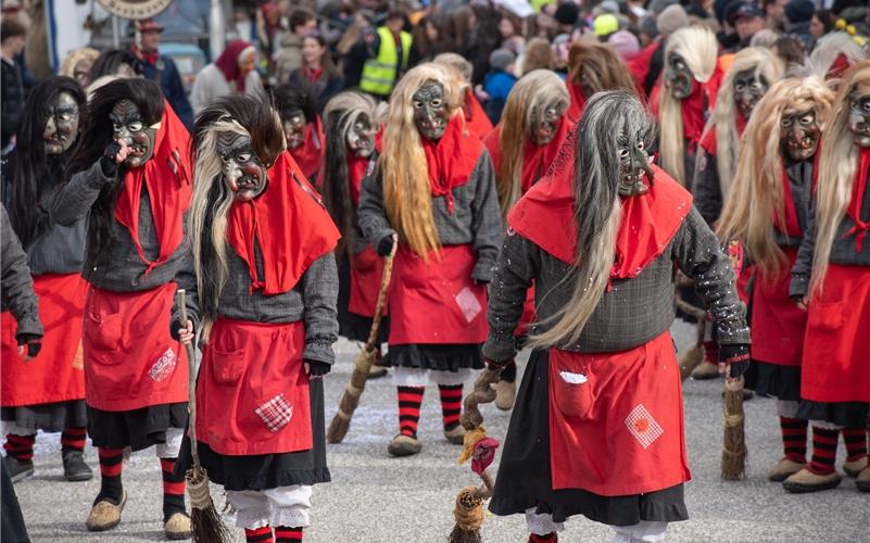 Narrenmekka Deckenpfronn: Bilder vom Fasnetsumzug