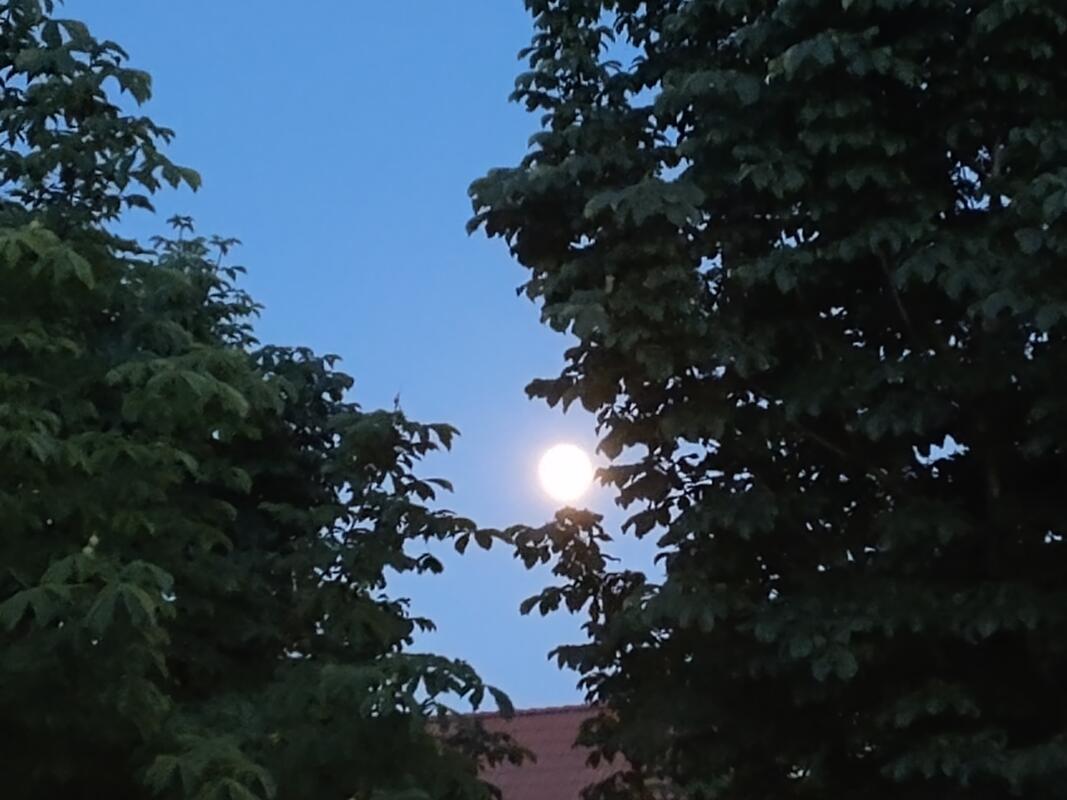 Dem Bauernmarkt ist ein Kuppinger Mond aufgegangen! Von Thomas Kalenda aus Herre...