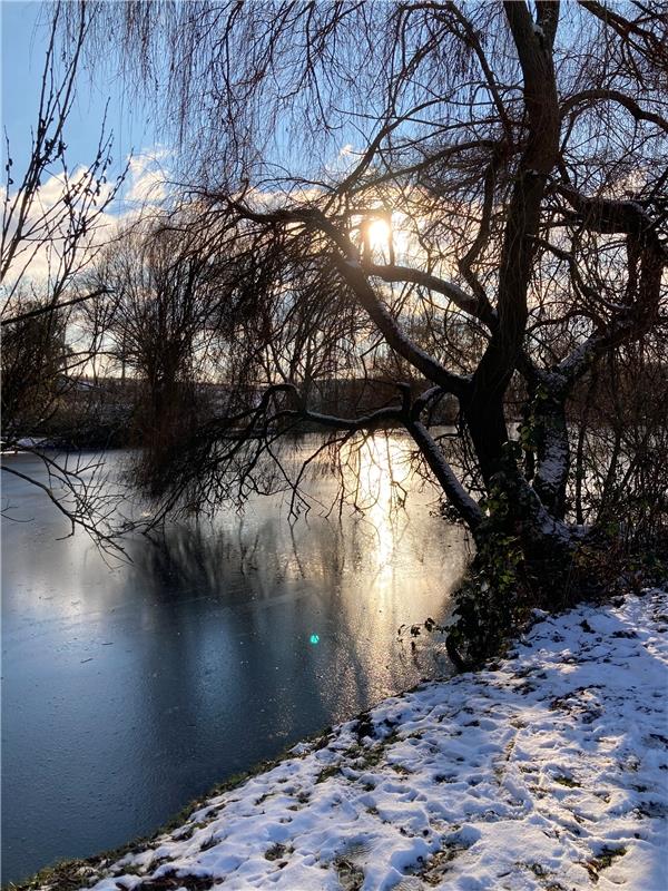 Den Herrenberger Eisweiher hat Erkenheid  Reinhadt  im Licht der Wintersonne fot...