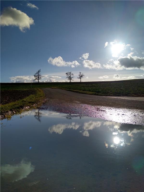 Den Himmel auf Erden sieht Dagmar Weber in Herrenberg 