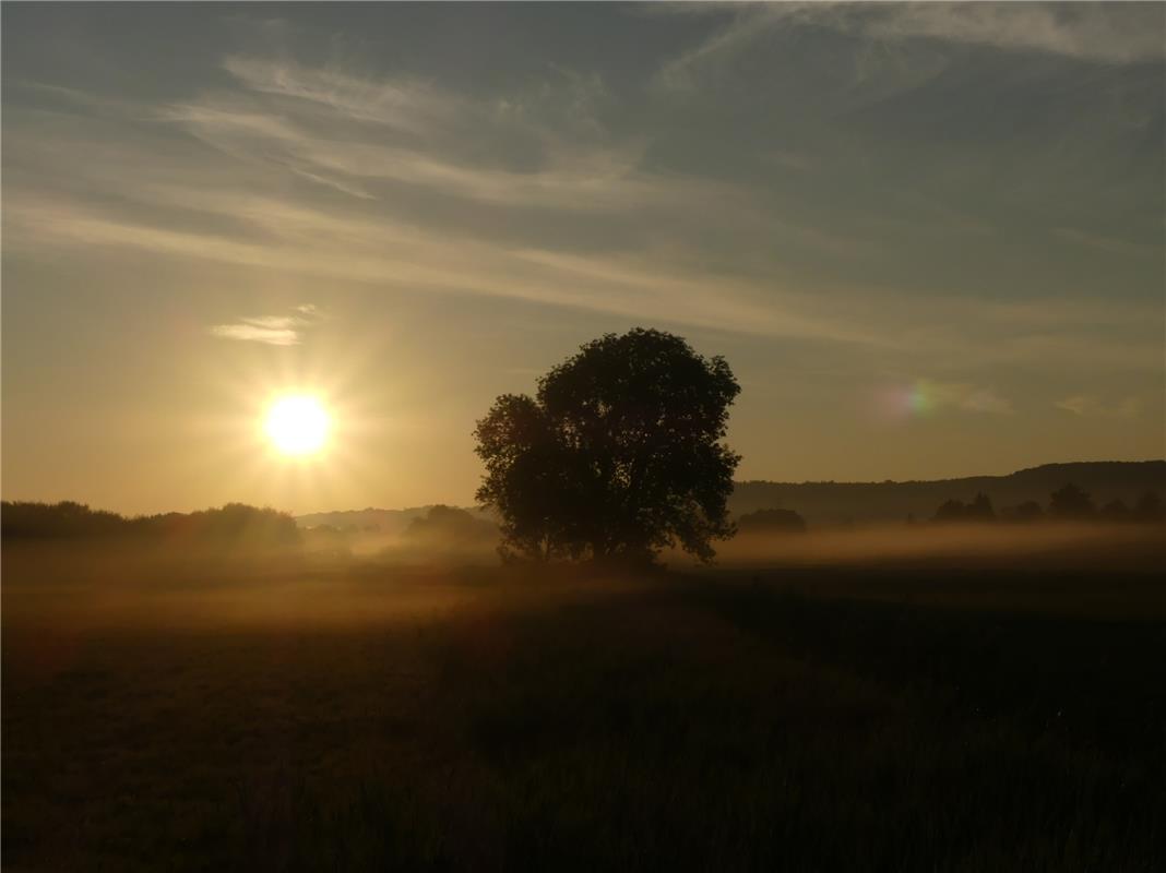 Den Sonnenaufgang über den Wiesen bei Nufringen genoss die Herrenbergerin Heike ...