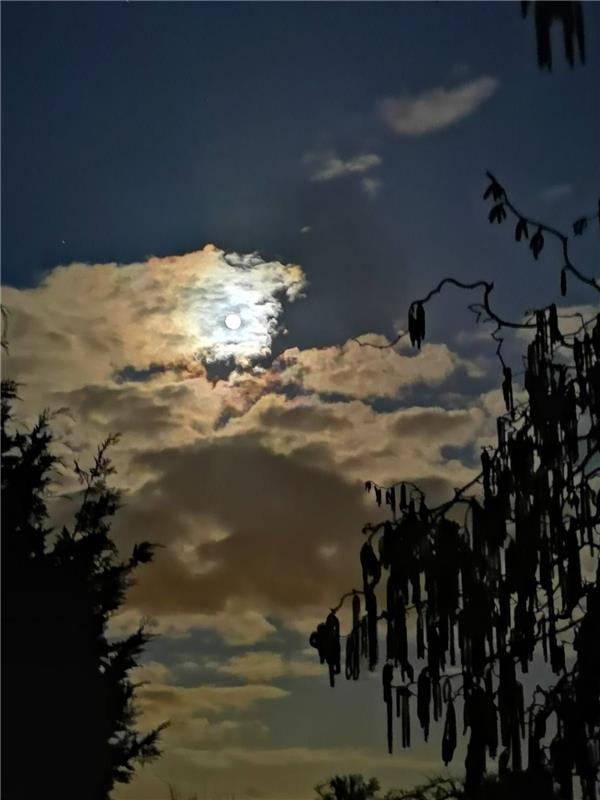 Den Supermond hinter den Wolken hat Birgit Lamparter in Tailfingen abgelichtet. 