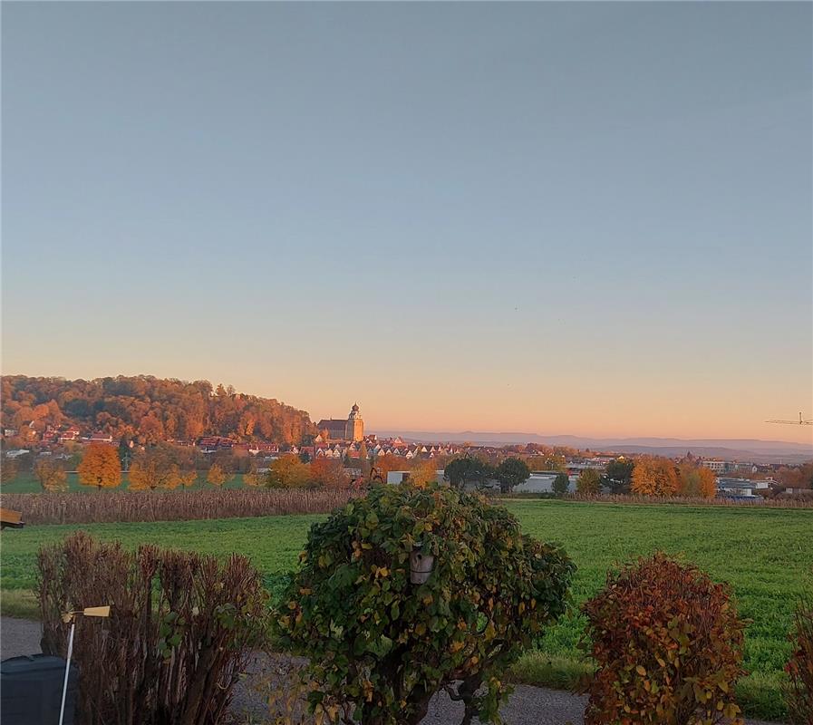 Den schönsten Blick auf Herrenberg im Abendleuchten hatte Eveline Walz von Affst...