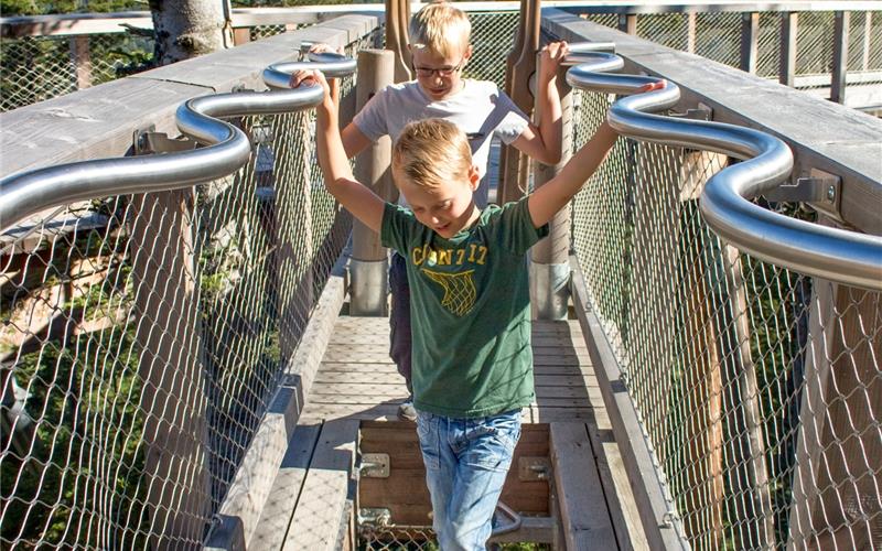 „Gäubote“-Familien-Tour: Den Schwarzwald
von oben erkunden Der Baumwipfelpfad: Ein Höhepunkt im Schwarzwald.GB-Foto: Erlebnis Akademie AG/Baumwipfelpfad Schwarzwald