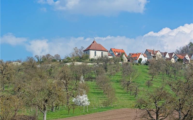 Der Blick nach oben