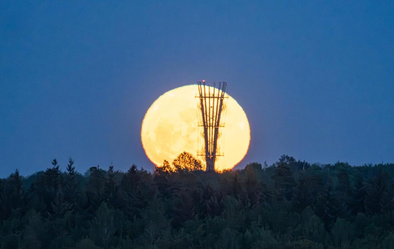 Der Blütenmond im Mai hinterm Schönbuchturm.  Von Monika Suhm aus Gärtringen.