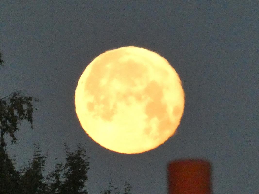 Der Erdbeermond, fotografiert von Peter Riethmüller aus Nufringen, morgens um 5:...