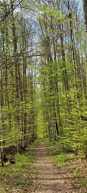 Der Frühling kommt bestimmt!  Von Klaus Pfisterer aus Herrenberg.