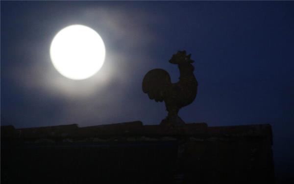 Der Gockel schreit in die Vollmondnacht (gesehen in Gärtringen) GB-Foto: Bäuerle