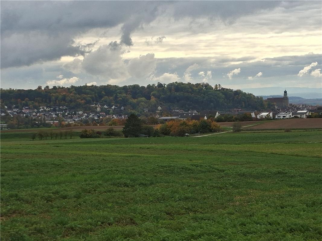 Der Herbst ist da. Von Maria Weisse aus Herrenberg.