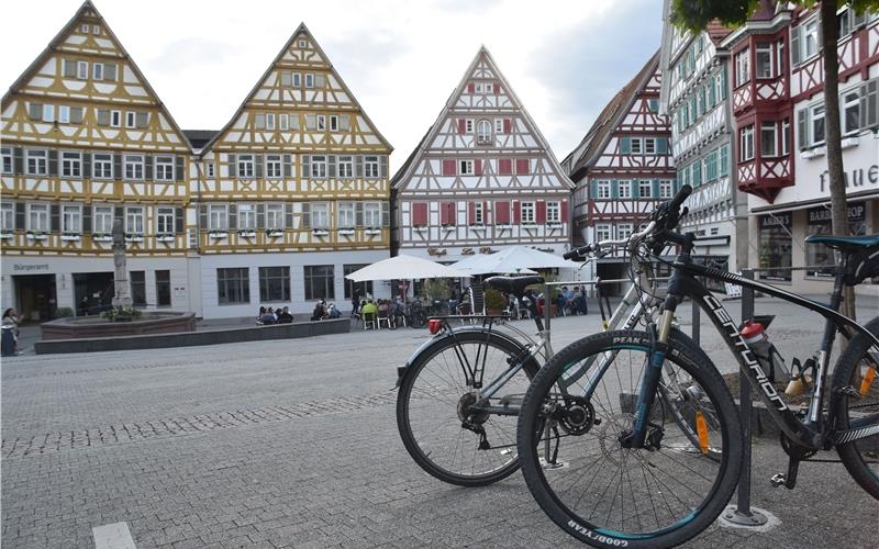 Der Herrenberger Marktplatz ist am kommenden Sonntag das Ziel der ADFC-Radtour durch die Herrenberger Ortsteile. Gerhard Strubbe, Vorsitzender der ADFC-Ortsgruppe Herrenberg/Oberes Gäu, mit Alf, dem Affstätter Lastenfahrrad. GB-Fotos: Reichert