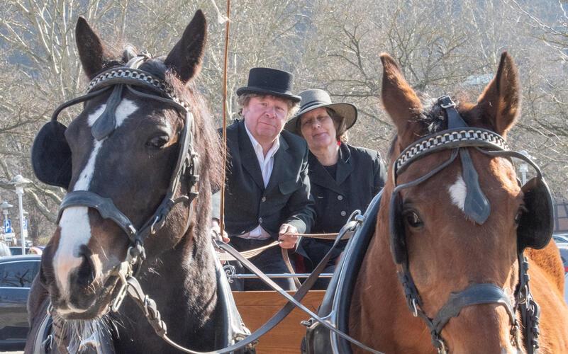Der Herrenberger Pferdemarkt mit seinen Fotomotiven zieht Tausende von Schaulustigen an.GB-Foto (Archiv): Vecsey