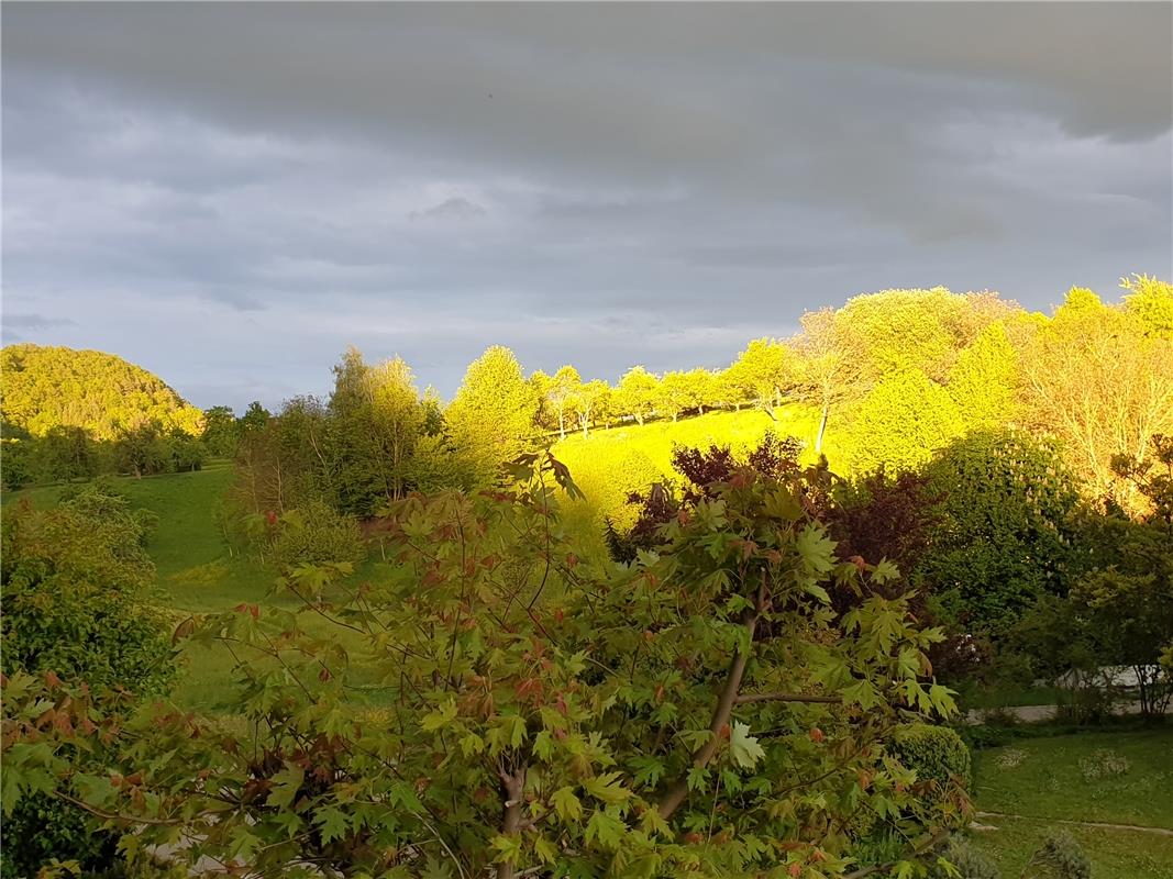 Der Katzenbuckel bei Kayh glänzt herrlich in der Abendsonne, fand Ulrike Hätinge...