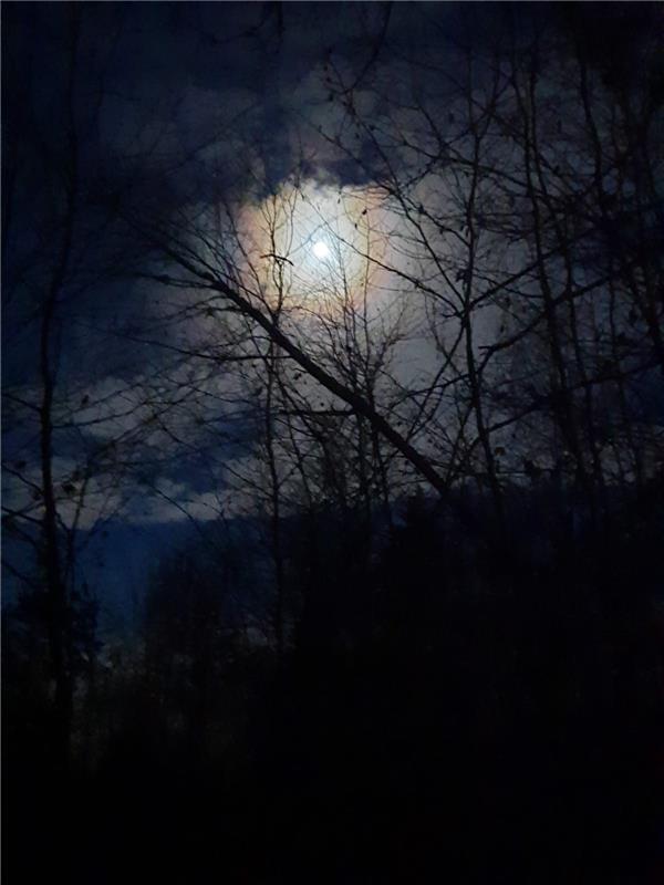 "Der Mond ist aufgegangen". Vollmond mit herrlicher Farbsilouette in der Abenddä...