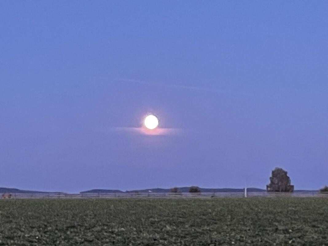 Der Mond ist aufgegangen.  Von Sibylle Kienzle aus Rottenburg.