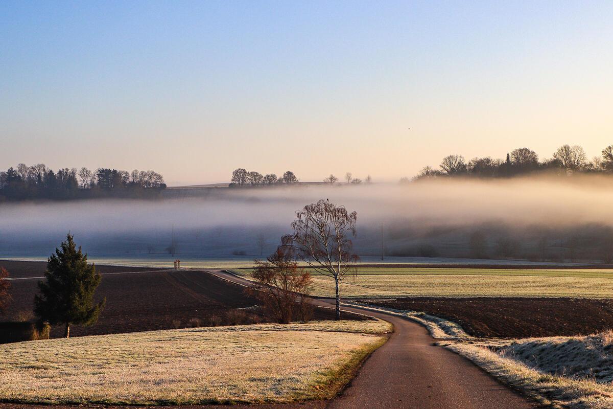 Der Nebel schmückt das Maurener Tal.  Von Natalie Politz au Hildrizhausen.