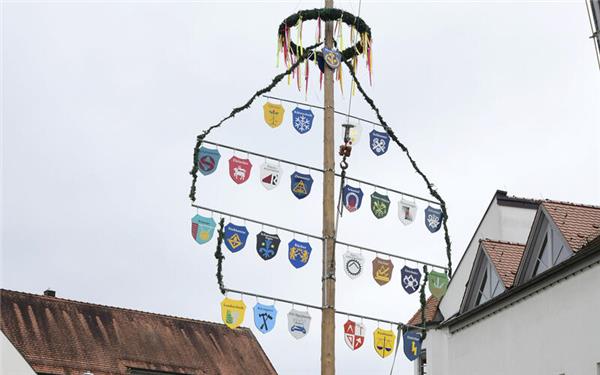 Der Nufringer Maibaum ist mit Wappen versehen. GB-Foto: Holom