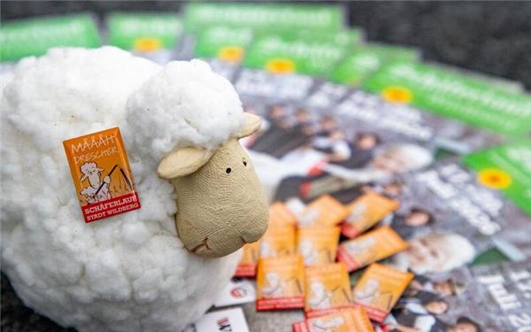 Der Pin zum Schäferlauf Wildberg ist freigegeben. GB-Foto: Geisel