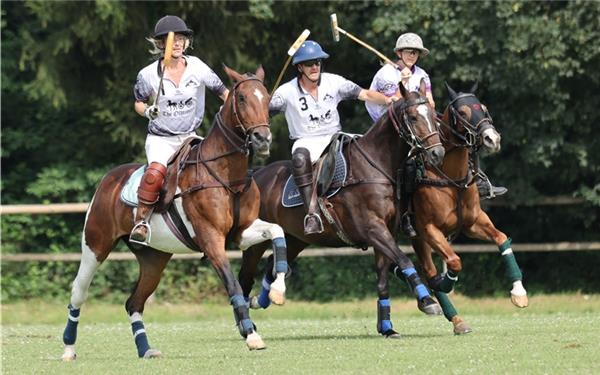 Der Polosport im Kreis Böblingen hat nach Bondorf wieder eine Spielstätte: Jetzt wird auf dem Hof Holzapfel in Schönaich ein Turnier veranstaltet. GB-Foto (Archiv): Häusler