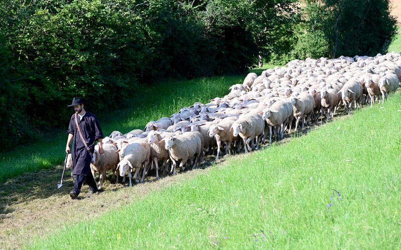 Der Schäferlauf steht vor der Tür: Seit fast 15 Monaten laufen die Vorbereitungen – die Organisatoren geben Einblicke.GB-Foto: Holom