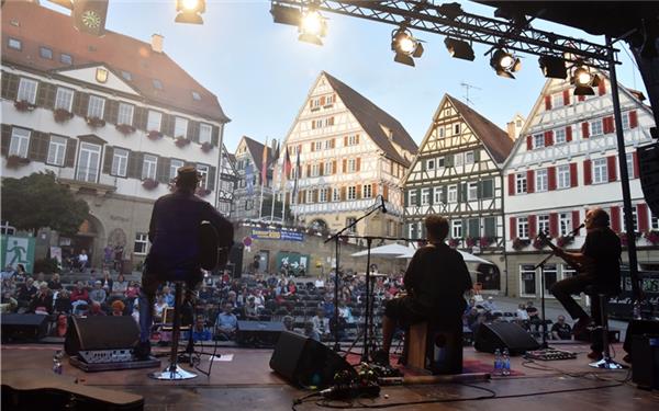 Der Sommer wird auch in diesem Jahr in Herrenberg wieder im Zeichen der Musik und Kultur stehen. GB-Foto (Archiv): Vecsey