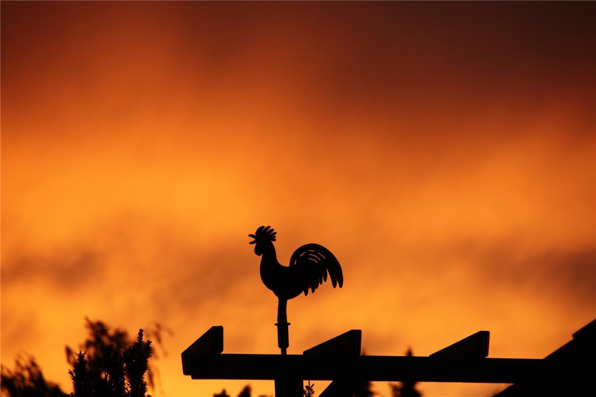 "Der Sonnenuntergang in Nebringen sorgt für eine ganz besondere Stimmung" - find...