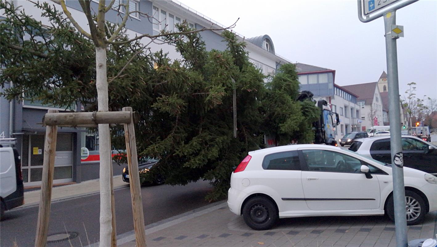 Der Weihnachtsbaum ist in Gärtringen auf dem Weg, leider ohne Weihnachtsmann, be...