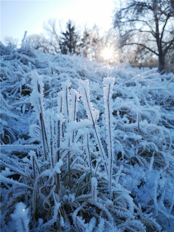 „Der Winter malt mit Zeit und Stille“.  Von Ursula Schmid aus Rohrau.