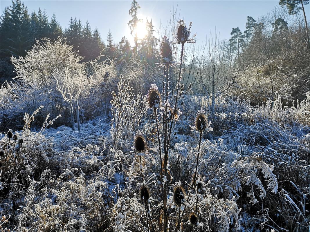 „Der Winter malt mit Zeit und Stille“.  Von Ursula Schmid aus Rohrau.