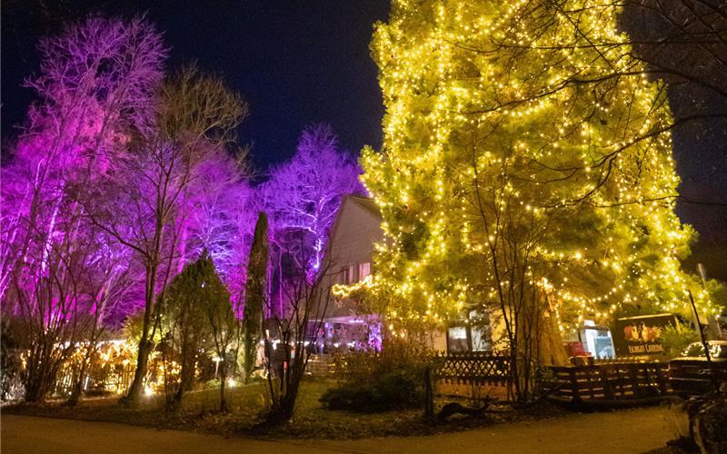 Der XXL-Weihnachtsbaum des Winterdorfs wurde im vergangenen Jahr von OB Nico Reith feierlich angeschaltet. GB-Foto (Archiv): Vecsey