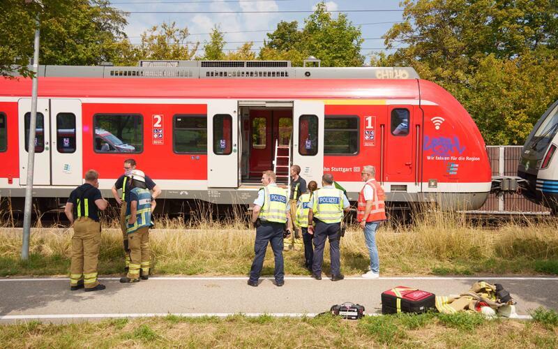 Der Zug musste nach dem Unfall infolge der Streckensperrung evakuiert werden. SDMG/Dettenmeyer