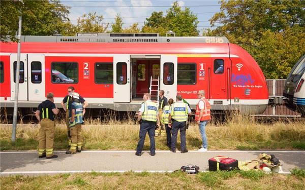 Der Zug musste nach dem Unfall infolge der Streckensperrung evakuiert werden. SDMG/Dettenmeyer