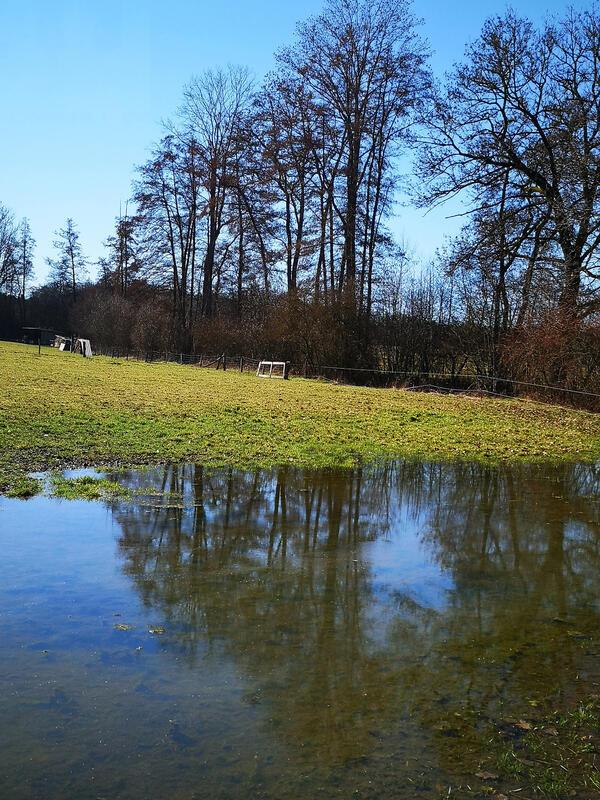 Der ganze Himmel in einer Pfütze!  Von Ursula Schmid aus Rohrau.