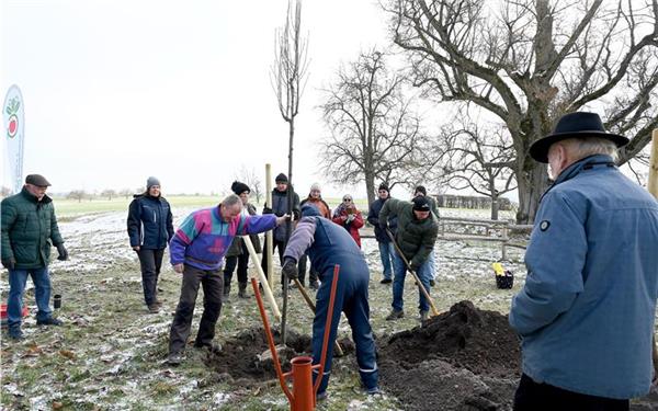 Der neue Setzling muss gehegt und gepflegt werden. GB-Foto: Holom