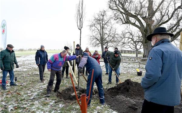 Der neue Setzling muss gehegt und gepflegt werden. GB-Foto: Holom