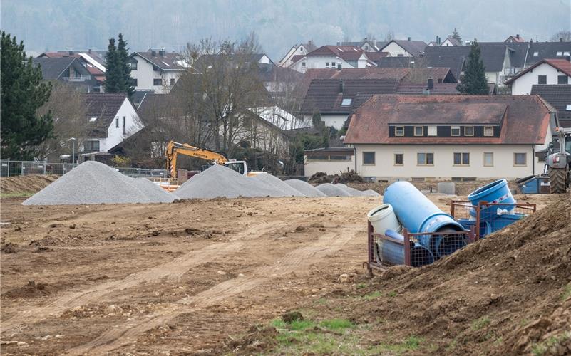 Der offizielle Spatenstich im Neubaugebiet soll in zwei Wochen stattfinden. GB-Foto: Vecsey