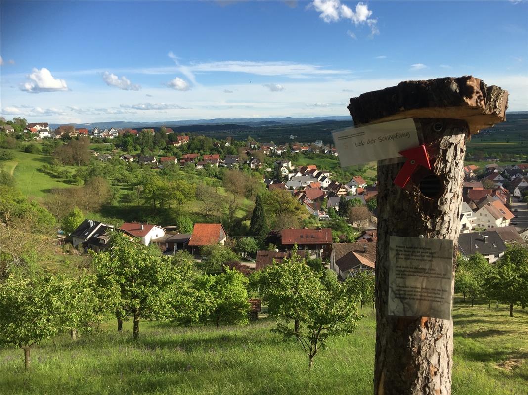 Der „singende Baum“ am Stationenweg bei Mönchberg hat es der Tochter von Corneli...