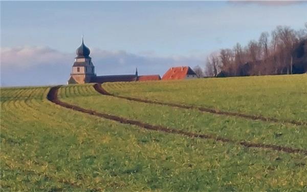 Die Arbeit des Bauern geleitet den Blick zur Stiftskirche
