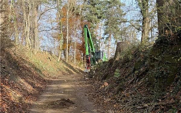 Die Arbeiten an der Burgsteige konnten termingerecht umgesetzt werden. GB-Foto: gb
