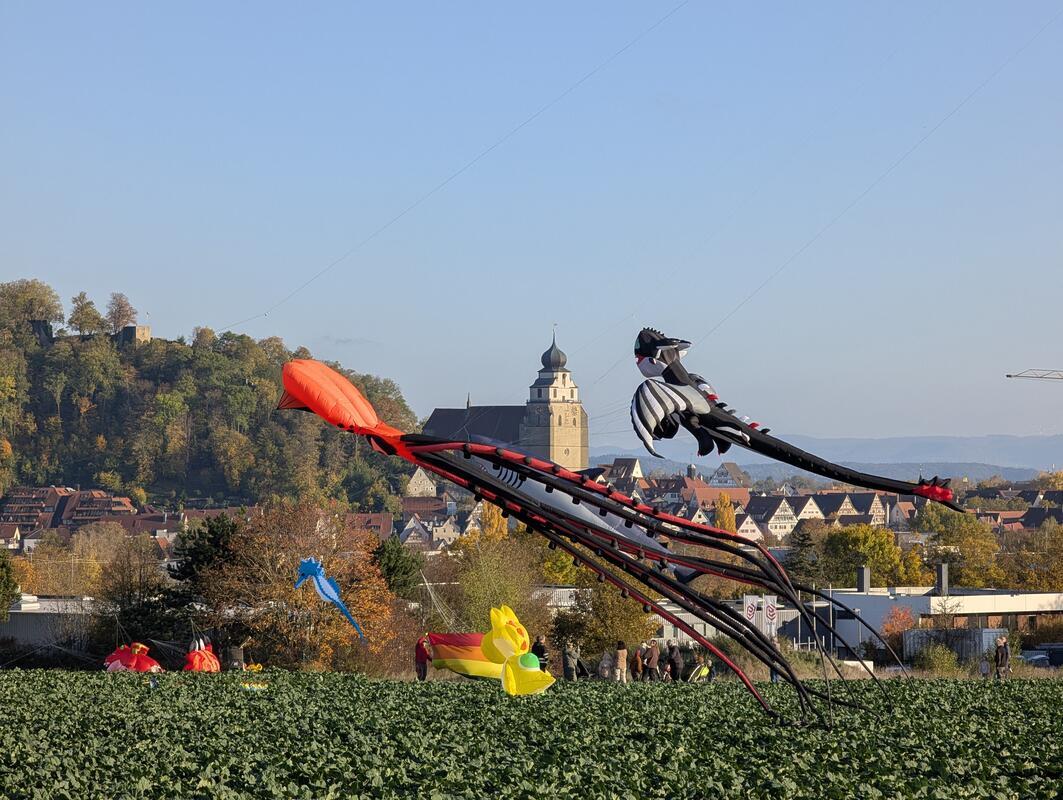 Die Drachen sind los! Von Eva Althoff-Nüssle aus Affstätt.