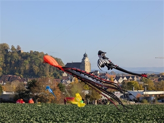 Die Drachen sind los! Von Eva Althoff-Nüssle aus Affstätt.