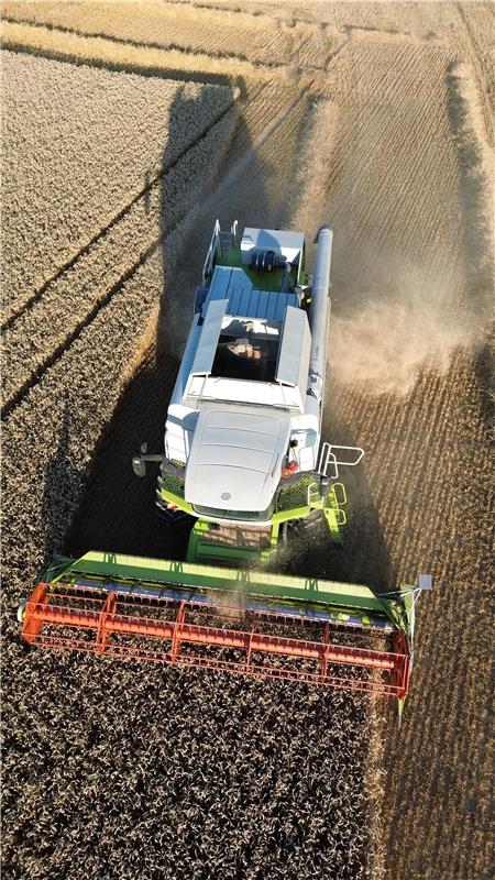 Die Ernte 2025 ist gestartet. Von Anja Schnotz aus Gäufelden.